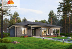 РФ-906 Одноэтажный дом с четырьмя спальнями и сауной  16,9 м x 12,8 м